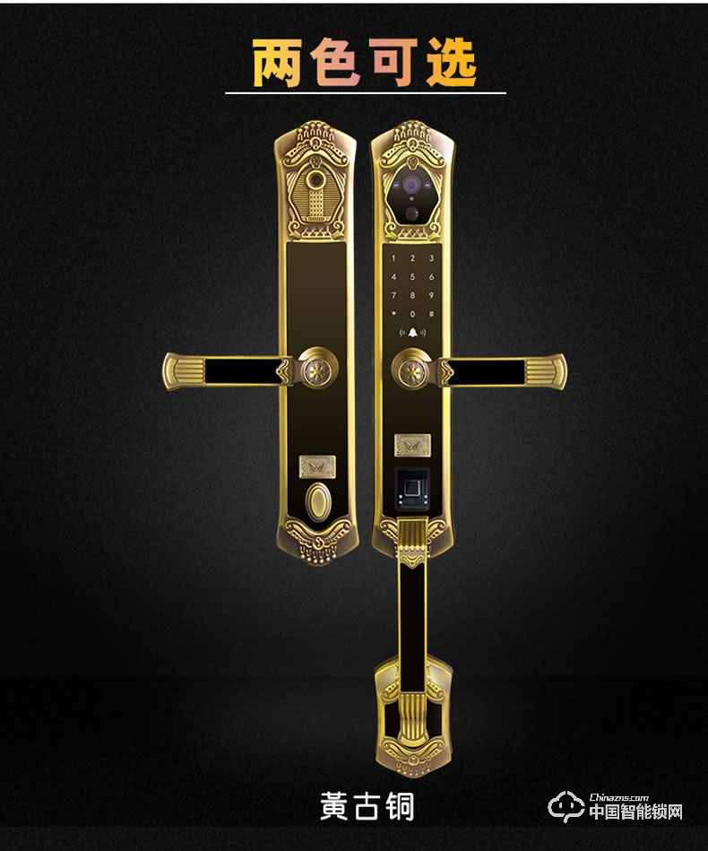 九萬里智能鎖C900 歐式古典別墅大門鎖指紋密碼鎖
