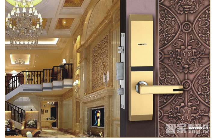 voc智能密碼鎖 F9指紋家用電子門鎖