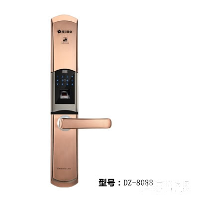 voc智能密碼鎖 F9指紋家用電子門鎖