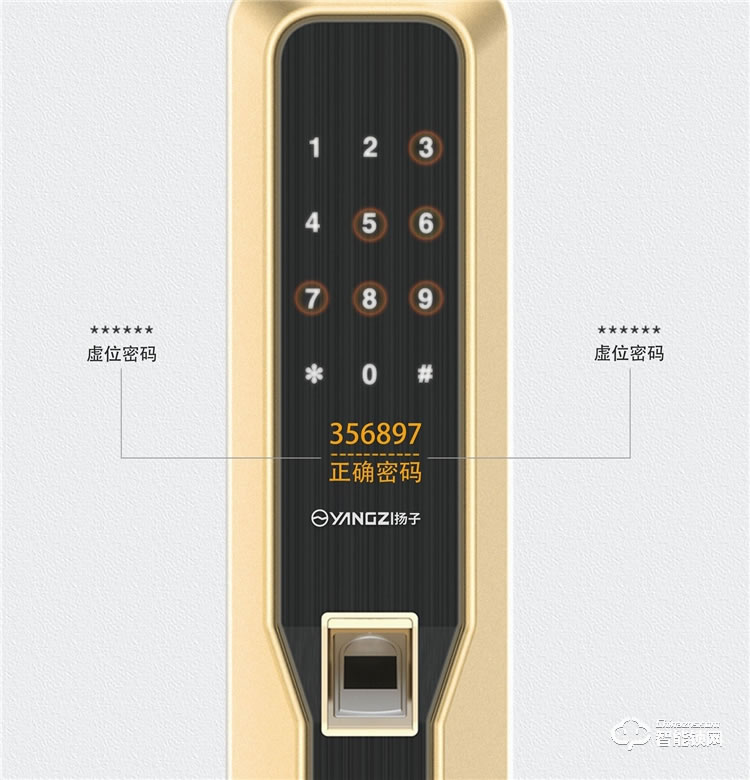 揚(yáng)子智能鎖 S9家用直板半自動(dòng)智能鎖