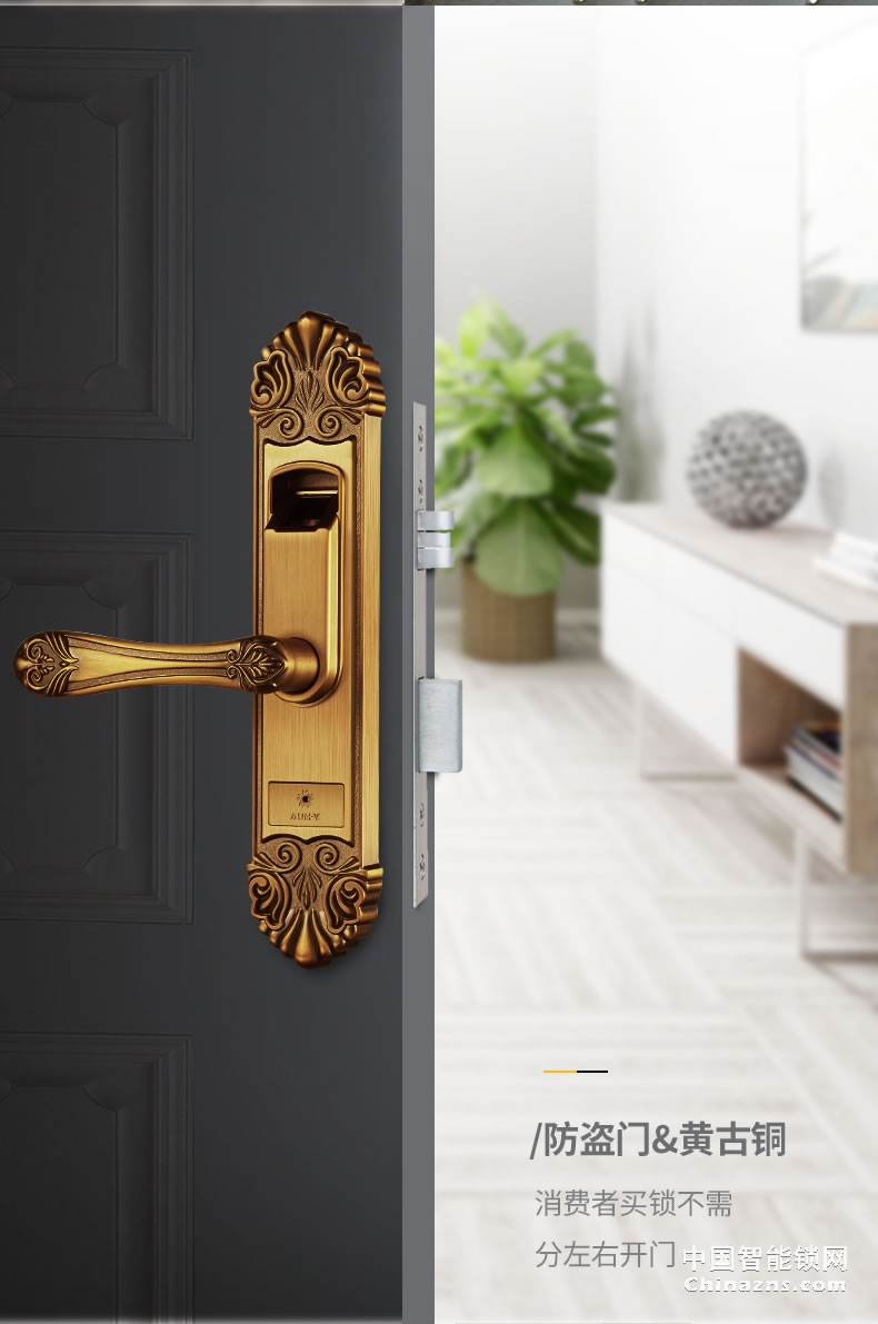 櫻花指紋鎖 室內(nèi)門(mén)鎖智能電子家用臥室歐式房門(mén)鎖