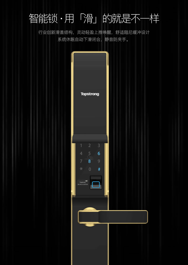 頂固指紋鎖 智能鎖指紋密碼鎖 防盜大門鎖