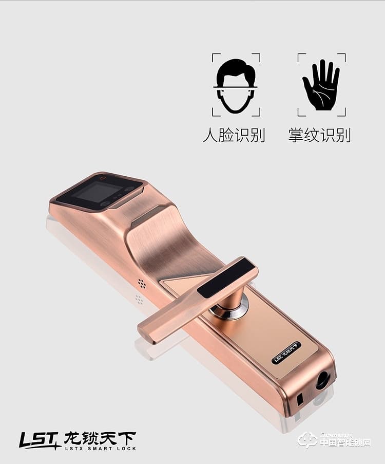 龍鎖天下智能鎖 人臉識(shí)別智能鎖 防盜門智能鎖Q7
