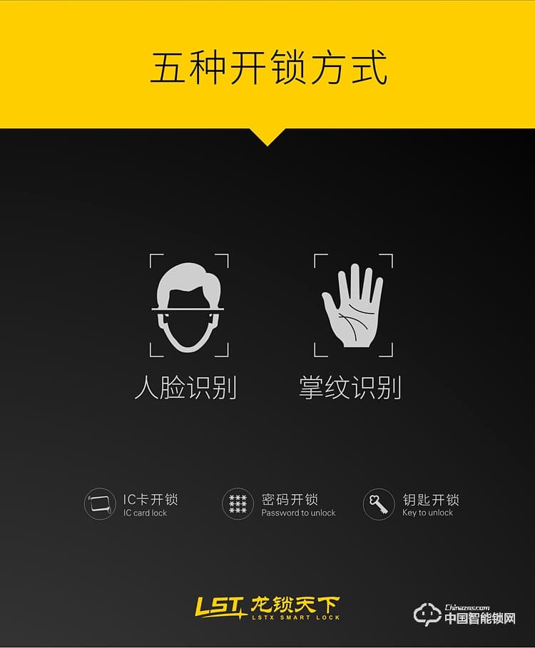 龍鎖天下智能鎖 人臉識(shí)別智能鎖 防盜門智能鎖Q7