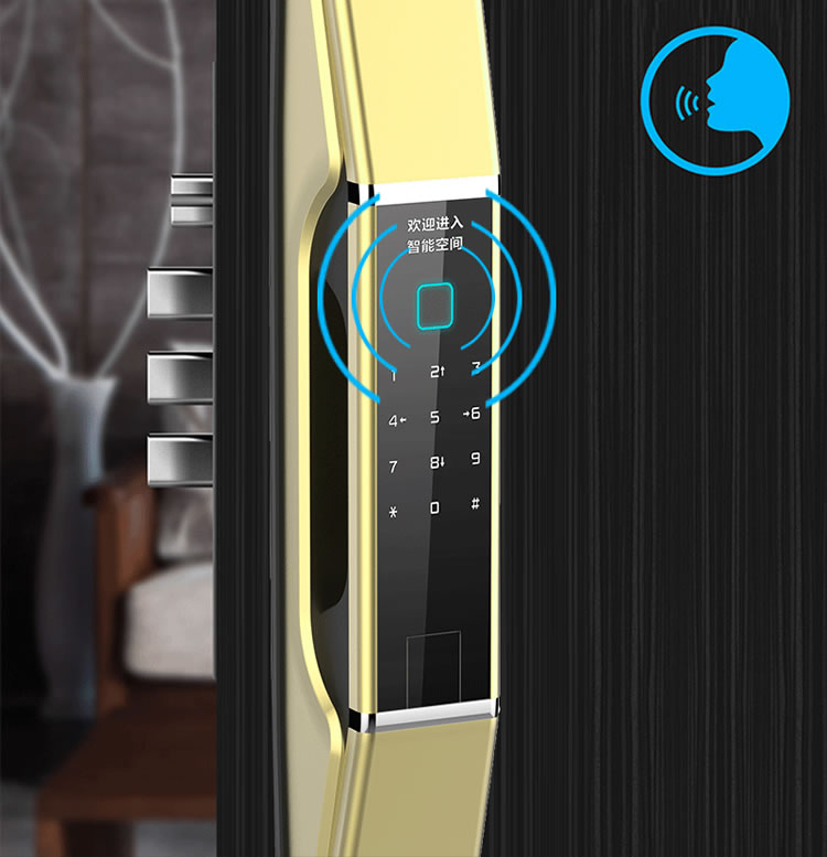 皇家金盾智能鎖 Q1家用智能門(mén)鎖推拉式開(kāi)鎖