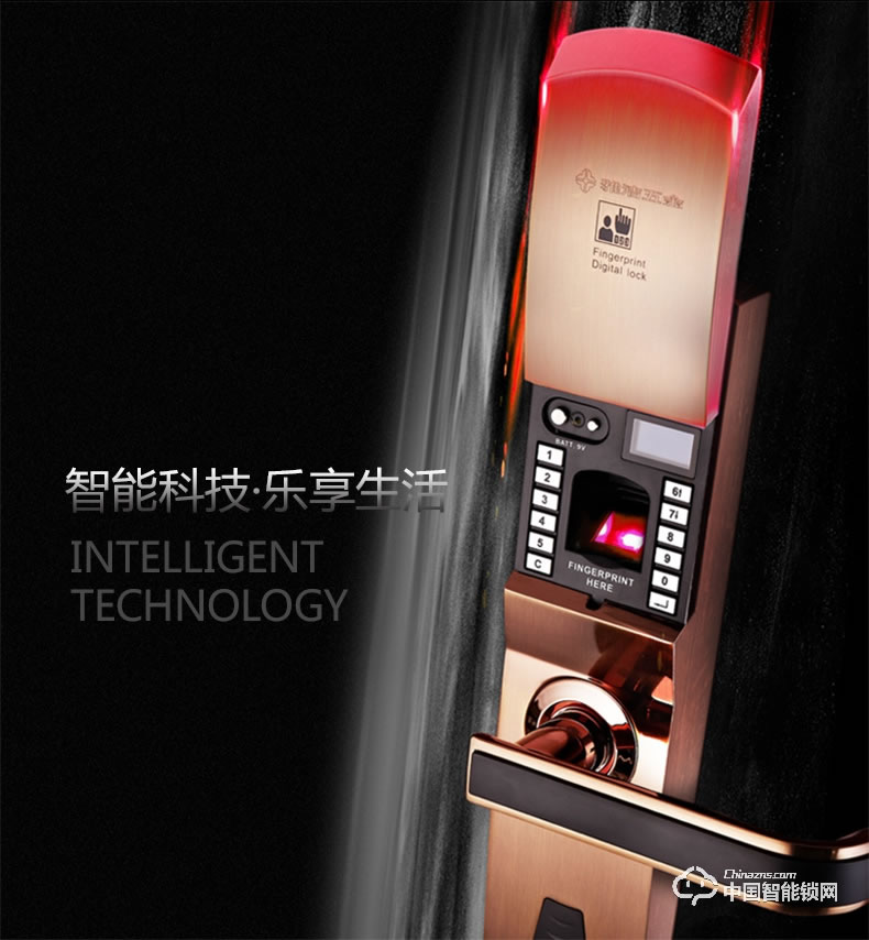 雅潔智能門(mén)鎖 AJ1021-01防盜大門(mén)密碼鎖戶(hù)外家用