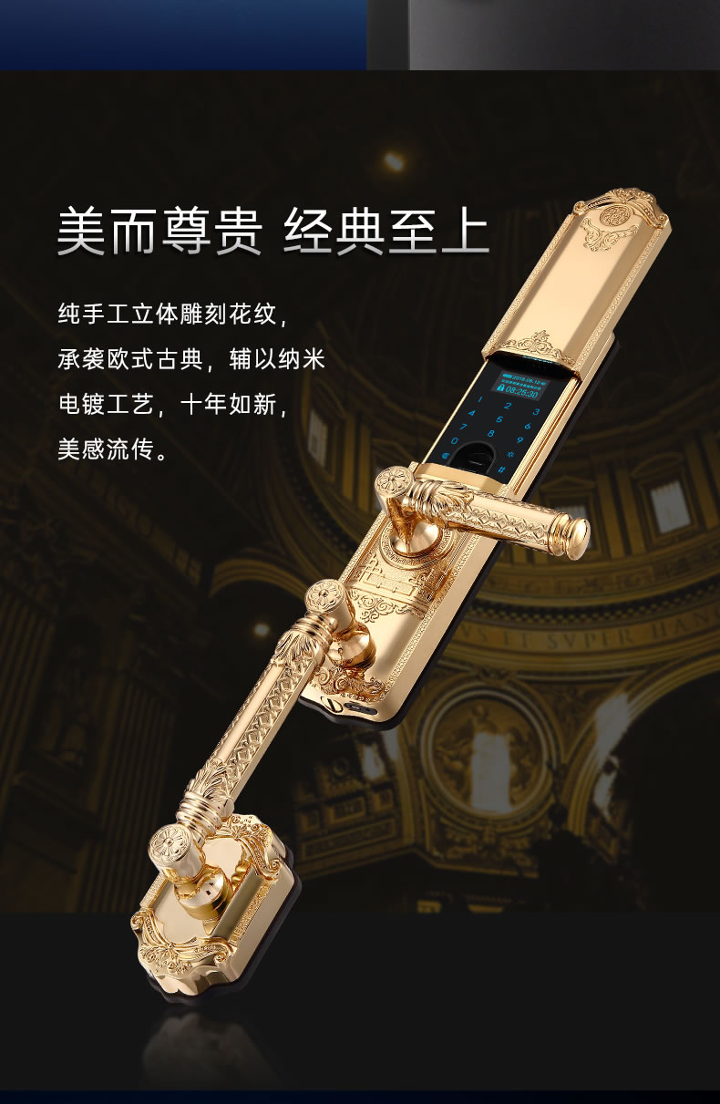 黑龍智能鎖 802別墅門指紋鎖家用防盜門鎖