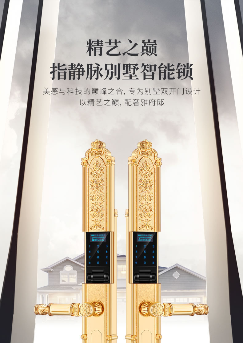 黑龍智能鎖 8848指靜脈豪華別墅智能密碼鎖電子門(mén)鎖