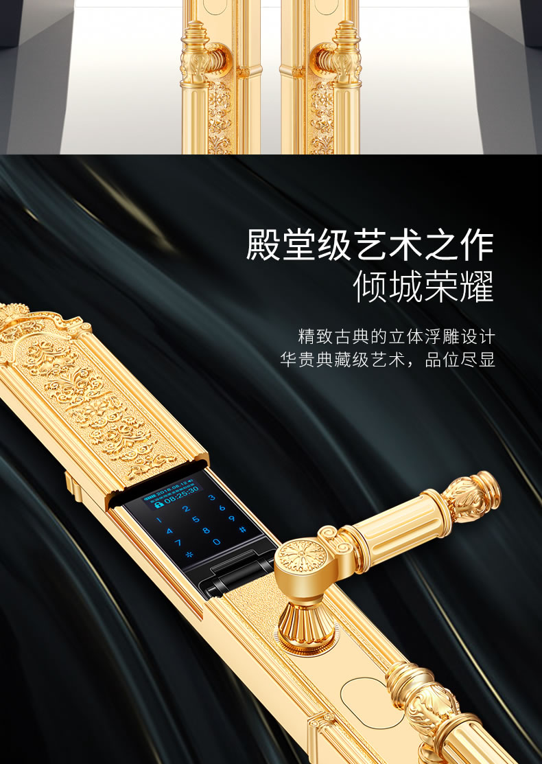 黑龍智能鎖 8848指靜脈豪華別墅智能密碼鎖電子門(mén)鎖