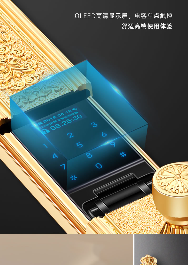 黑龍智能鎖 8848指靜脈豪華別墅智能密碼鎖電子門(mén)鎖