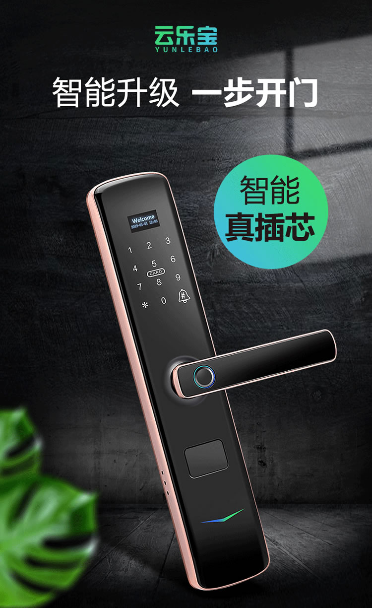 云樂(lè)寶智能鎖 X3家用防盜門(mén)密碼鎖遠(yuǎn)程密碼