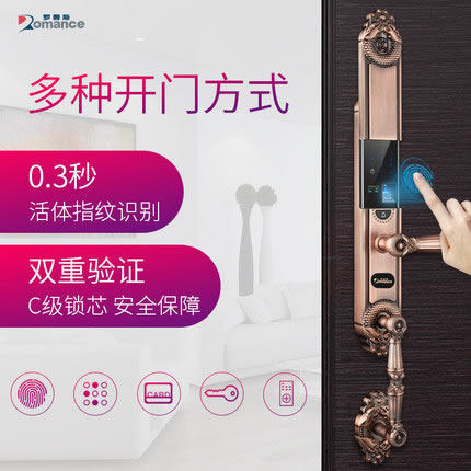 羅曼斯全自動(dòng)智能鎖DD2 家用防盜門(mén)指紋鎖密碼電子入戶門(mén)鎖