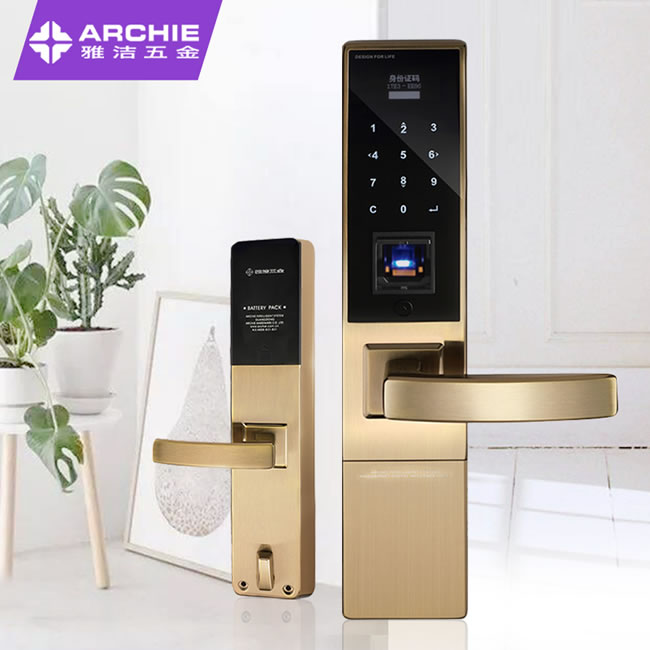 雅潔智能門(mén)鎖 AJ2011-02電子鎖防盜大門(mén)密碼鎖入戶外鎖