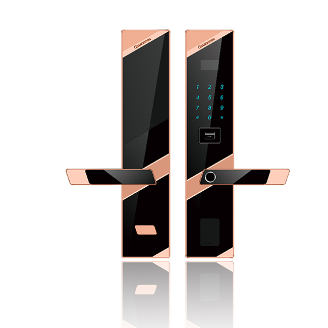 長(zhǎng)虹智能鎖 W18家用防盜門鎖智能鎖密碼鎖