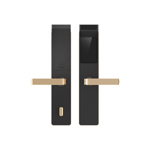 艾銳世虹膜智能鎖 IRL800時(shí)尚平板虹膜識(shí)別智能鎖