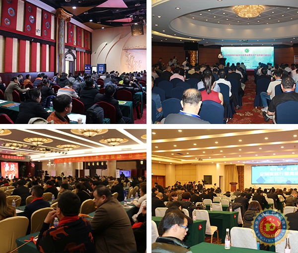 中居聯(lián)杯家居十大品牌