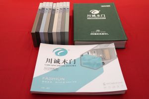 常戎傾情代言川誠(chéng)木門整裝